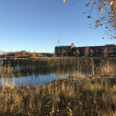 Wärtsiläs gamla fabriksområde i Vöråstan i Vasa.