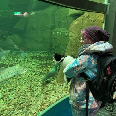 Liilaan myssyyn pukeutunut silmälasipäinen nainen seisoo suuren akvaarion edessä ja katsoo sisällä uivaa kalaa kissa sylissään.