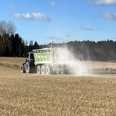 En traktor med vagn där det finns gips som sprids ut på en åker så det dammar om vagnen.