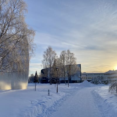 Rovaniemen kaupungintalo lumisessa maisemassa. 
