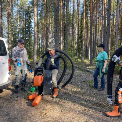 Kolme miestä ja yksi nainen kantavat vedenottoputkia metsässä. Kuvan laidalla valkoinen pakettiauto. Miehillä on oranssit saappaat.