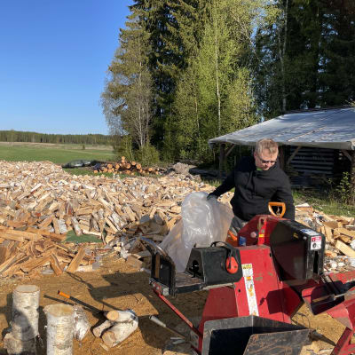 Valtava kasa pilkkeeksi pienittyjä puista auringossa ja vieressä mies klapikoneen kanssa.