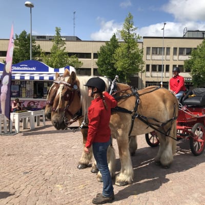 Två stora hästar framför kärra på ett torg.