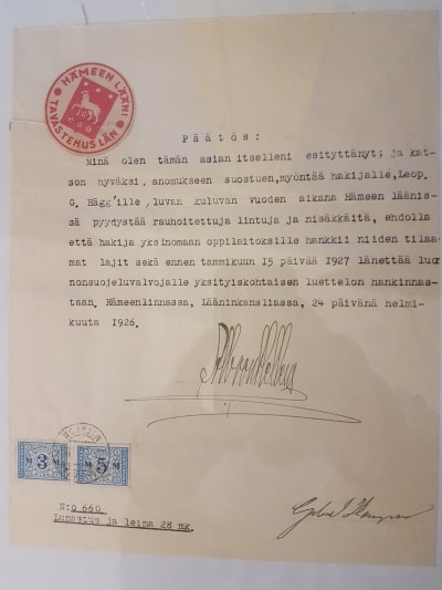 Gammalt dokument med tillstånd att jaga fredade djur med syfte att preparera dem för konservering.
