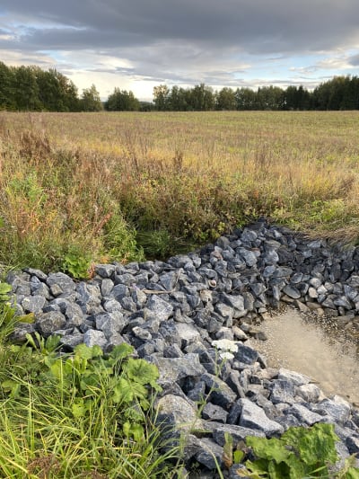 Ett dike med stora krosstensbitar på kanterna. Sommar.