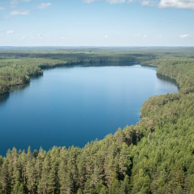 Valkiajärvi ilmakuvassa aurinkoisena kesäpäivänä.