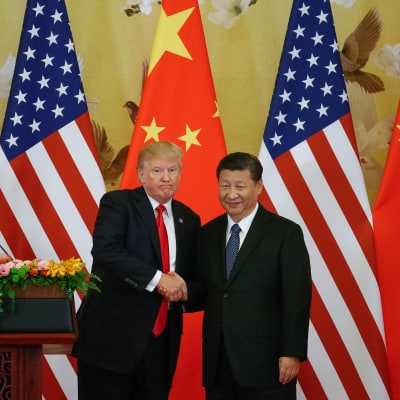 President Donald Trump och Kinas president Xi Jinping skakar hand under en presskonferens i Peking 9.11.2017.