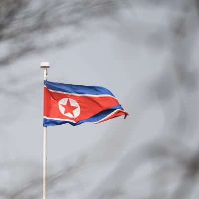 Nordkoreas flagga. 