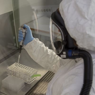 Näyteputkia käsitellään laboratorion bioturvakaapissa