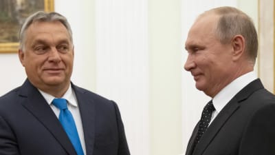 Viktor Orbán och Vladimir Putin står bredvid varandra.
