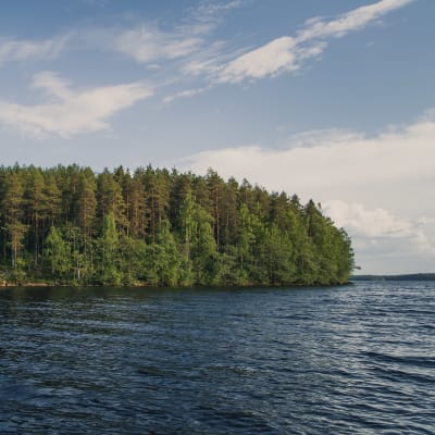 Aittosaari sijaitsee Keski-Suomessa Viitasaarella.