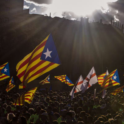 Katalanska flaggor vajar på Kataloniens nationaldag.