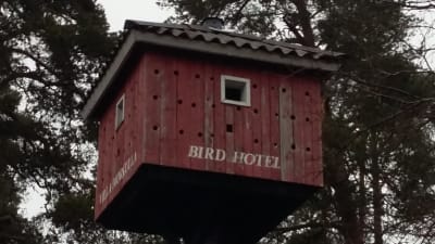 En väldigt stor rödmålad holk med många hål för fåglar att flyga in i. Står  "Bird hotel" på huset som är högt upp i ett träd.