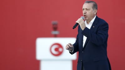 Turkiets president Recep Tayyip Erdoğan talade till sina anhängare vid massdemonstrationen i Istanbul den 7 augusti 2016.