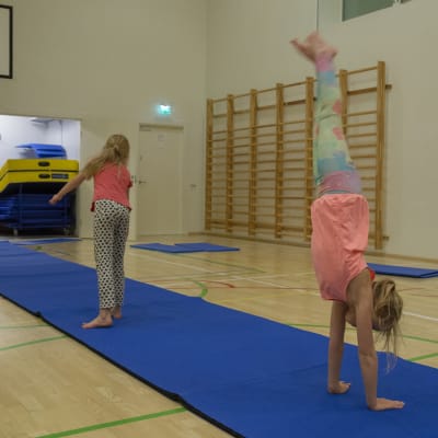 Lasten liikunta / Eevi ja Hilda/ Viikintoimipiste 28.01.019