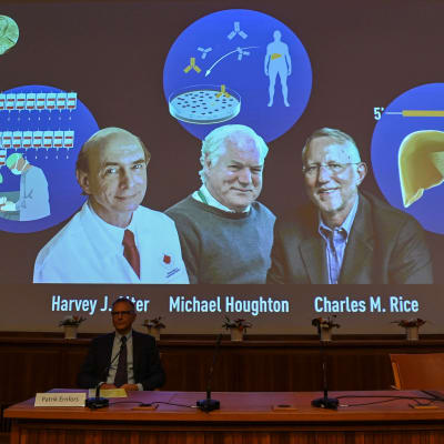 En bild på de trä män som fick Nobelpriset i medicin. Fotografiet syns på en skärm vid kunngörandet.