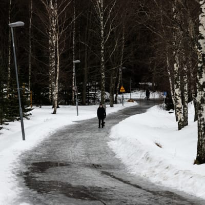 Kvinna med hund går längs med isig vägbana