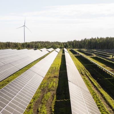 Aurinkopaneeleita aurinkopuistossa. Taustalla näkyy tuuliturbiineja. Solarigo Systems Oy:n aurinkopuisto Kalajoella Pohjois-Pohjanmaalla.