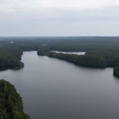 Ilmavalokuva Iso-Melkuttimen järvestä.