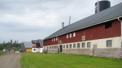I förgrunden Västankvarn gård gamla ladugprd, i mitten den som byggdes 1997 och längst bort syns nybygget.