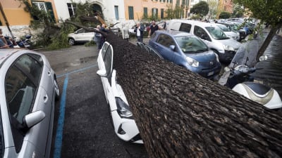  En bil i Rom råkade ut för stormens framfart 29.10.2018