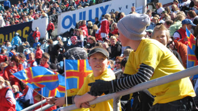 Åland på Stafettkarnevalen 2008