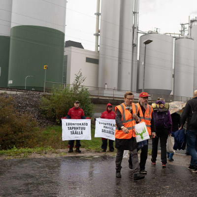 Mielenosoittajia ympäristöaiheisten kylttien kanssa seisomassa sateisella tehdasalueella, tehdas taustalla.