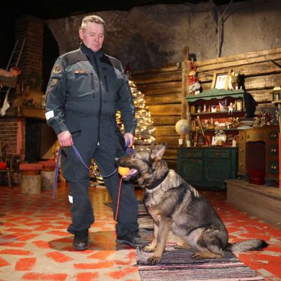 Rajavartiolaitoksen koira ja vanhempi rajavartija Tero Angeli etsintäharjoituksessa.