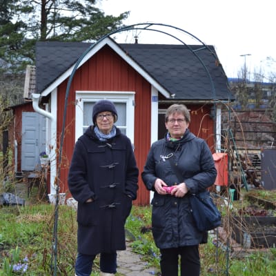 Marga Brunila och Kristina Virtanen från Brunakärr koloniträdgårdsförening står framför Brunilas kolonistuga.