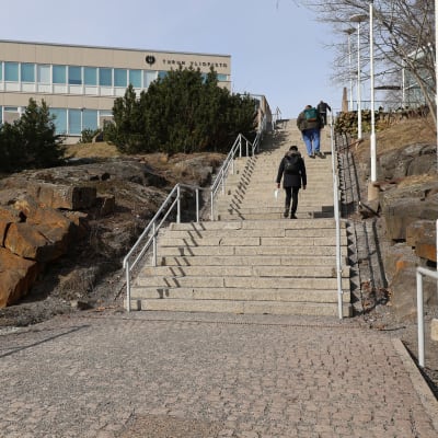 Ihmiset kiipeävät pitkiä portaita kohti Turun yliopiston päärakennusta.
