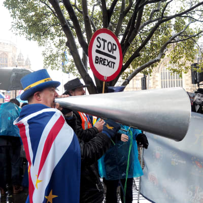 Brexit demonstration