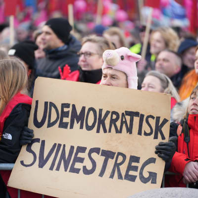 En man med en grismössa och ett plakat med texten "udemokratisk svinestreg".