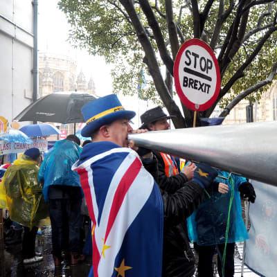 Brexit demonstration