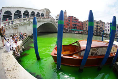 Vattnet nedanför Rialtobron i Venedigs Canal Grande har färgats grönt.