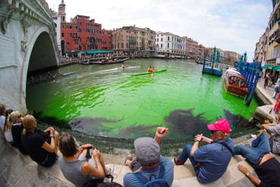 Vattnet nedanför Rialtobron i Venedigs Canal Grande har färgats grönt.