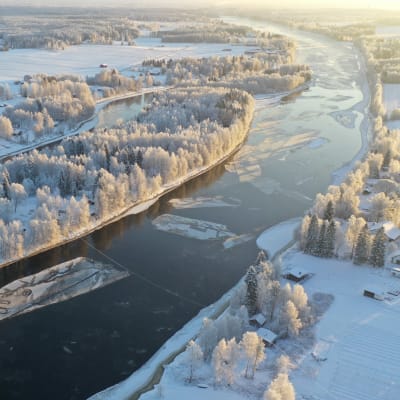 Talvinen maisema joesta, jonka keskellä on saari. Veden pinnassa on hyytynyttä lunta lauttoina.