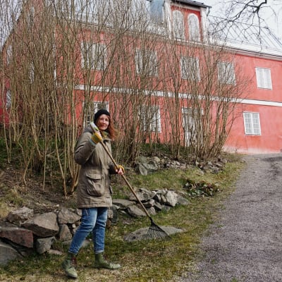 Mikaela Westerlund krattar löv utanför diktarhemmet i Borgå.