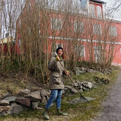 Mikaela Westerlund krattar löv utanför diktarhemmet i Borgå.