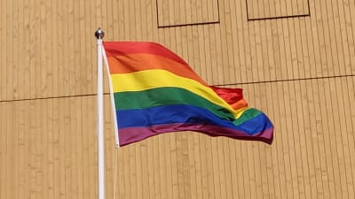 En regnbågsflagga svajar i toppen på en flaggstång utanför biblioteket Ode.