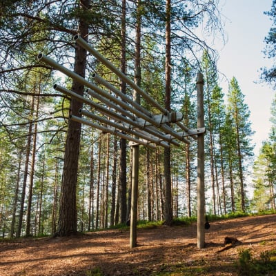 Pyöreistä putkista, jotka kiinnitetty pystypuihin, tehty kookas soitin, nimeltään viuhkaharmuuni, Suomussalmen Soivassa Metsässä.