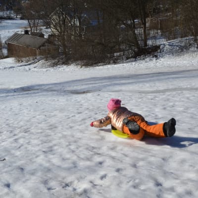 Ett barn ligger på en pulka och åker nerför en snötäckt backe.