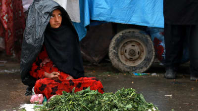 En afghansk flicka säljer grönsaker i regnet i Kabul den 26 mars 2017.