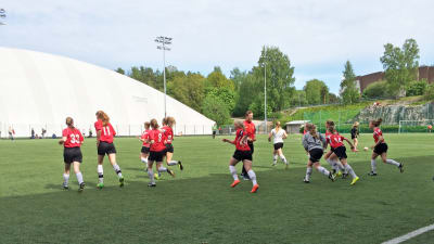 stadi cup i juni 2015