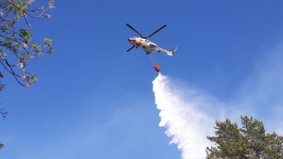 Gränsbevakningens helikopter släpper ut vatten över en skogsbrand.