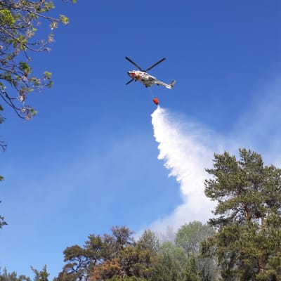 Gränsbevakningens helikopter släpper ut vatten över en skogsbrand.