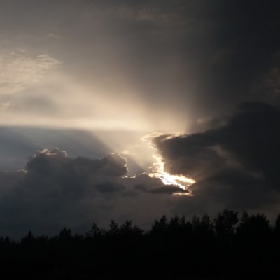 Sista solstrålarna innan åskmolen tar över himlen.