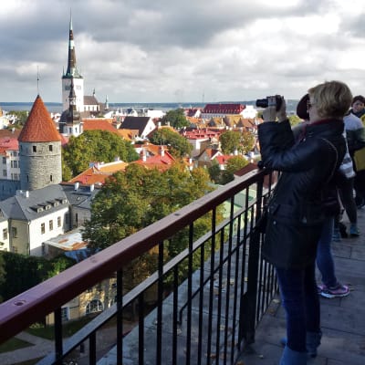 Turist fotograferar Tallinn.
