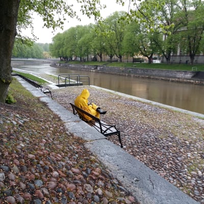 En person sitter i ösregn i gula regnkläder på en parkbänk vid Aura å, i ett Åbo som i övrigt är helt tomt.
