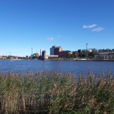 Åbo Akademi i Vasa sett från Sandö.