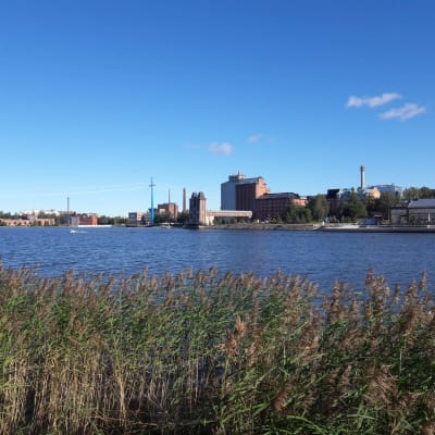 Åbo Akademi i Vasa sett från Sandö.